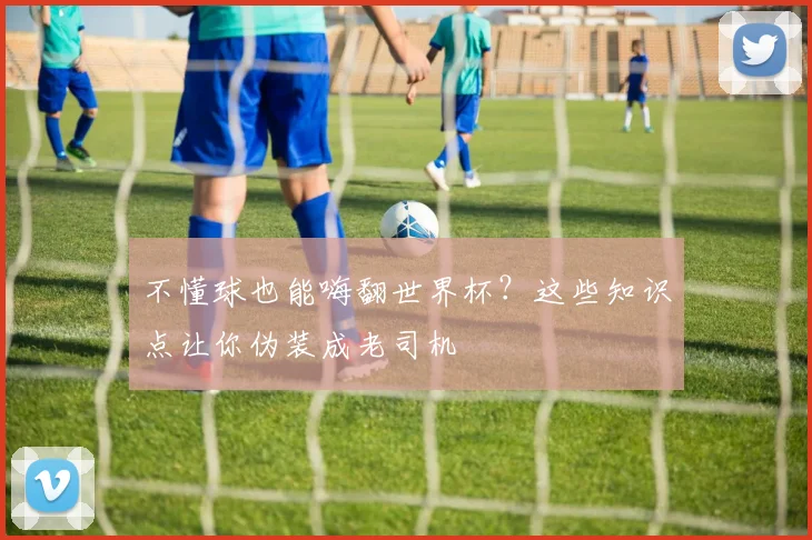 不懂球也能嗨翻世界杯？这些知识点让你伪装成老司机