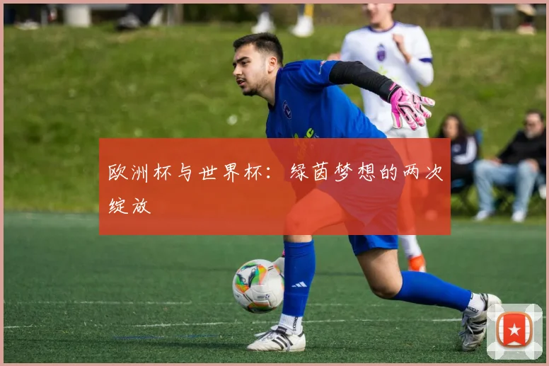 欧洲杯与世界杯：绿茵梦想的两次绽放